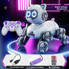 Popular children's toys mechanical cat intelligent eight-wheeled stunts cool remote control car drift deformation robot cat - Toy Collection