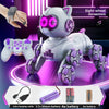 Popular children's toys mechanical cat intelligent eight-wheeled stunts cool remote control car drift deformation robot cat - Toy Collection